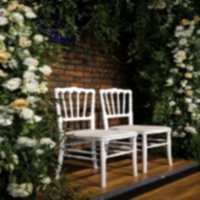 Özel Gün Organizasyon